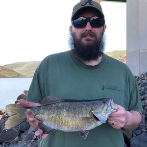 Meet your Posher, Josh